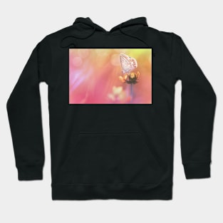 Colorful dream... Hoodie